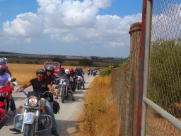 XIX Concentracion - 2012